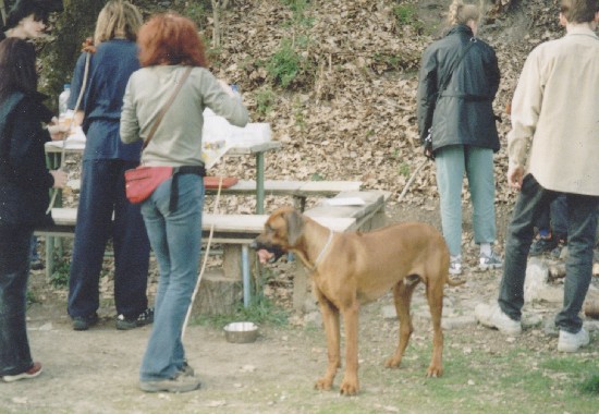 Redy (Blizzard Red): Ten bu�t tety Zachari��, co jsem p�ed chv�l� zn�rodnil, byl m�am. Kde by se tu je�t� co dalo �lohnout?