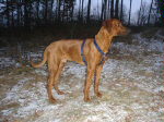 Fyodor (Zulu) - 7 m�s�c�
